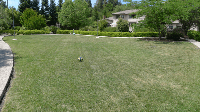 Fully sodded yard