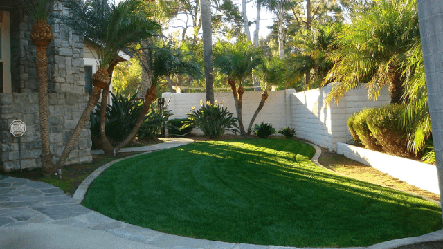 Partially sodded yard